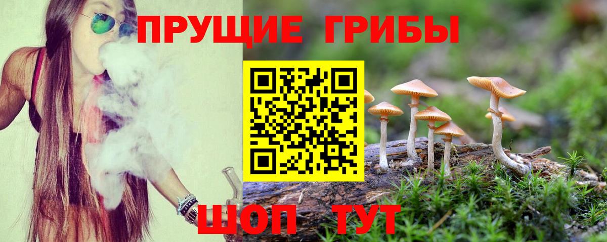 Псилоцибиновые грибы ЛСД Южно-Сахалинск